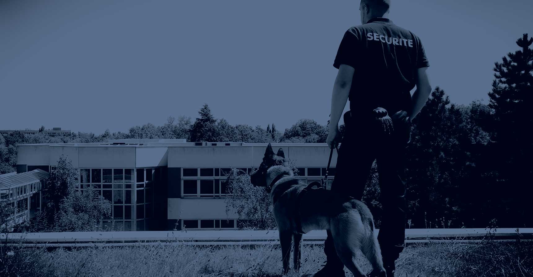 Security services and Guarding - Protection of persons